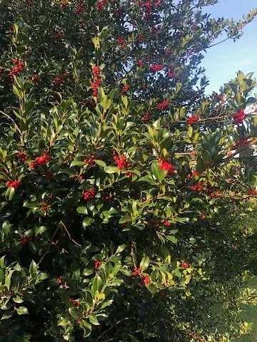 Quinta De Sao Martinho - Visconde Do Penedo * Caniçada